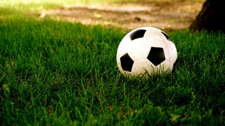 Soccer in the United States: Growth